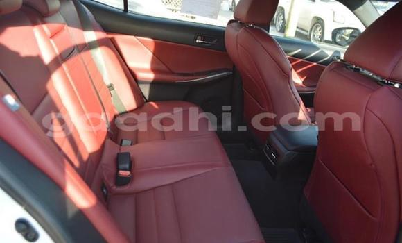 Oofamaa Lexus IS White Makiinaa iti Mogadishu keessatti Somalia keessatti Oofamaa Lexus IS White Makiinaa iti Mogadishu keessatti Somalia keessatti