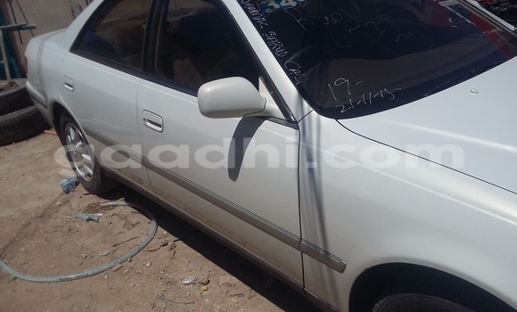 ይግዙ ያገለገለ Toyota 4Runner ነጭ መኪና በ ሞቃዲሾ በ ሶማሊያ ይግዙ ያገለገለ Toyota 4Runner ነጭ መኪና በ ሞቃዲሾ በ ሶማሊያ