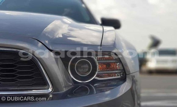 اشتري Imported Ford Mustang آخر سيارة في Import - Dubai في الصومال اشتري Imported Ford Mustang آخر سيارة في Import - Dubai في الصومال