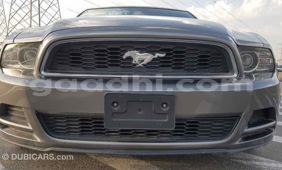 اشتري Imported Ford Mustang آخر سيارة في Import - Dubai في الصومال اشتري Imported Ford Mustang آخر سيارة في Import - Dubai في الصومال