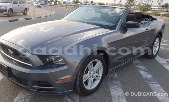 اشتري Imported Ford Mustang آخر سيارة في Import - Dubai في الصومال اشتري Imported Ford Mustang آخر سيارة في Import - Dubai في الصومال