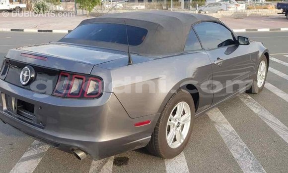 اشتري Imported Ford Mustang آخر سيارة في Import - Dubai في الصومال اشتري Imported Ford Mustang آخر سيارة في Import - Dubai في الصومال