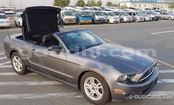اشتري Imported Ford Mustang آخر سيارة في Import - Dubai في الصومال اشتري Imported Ford Mustang آخر سيارة في Import - Dubai في الصومال