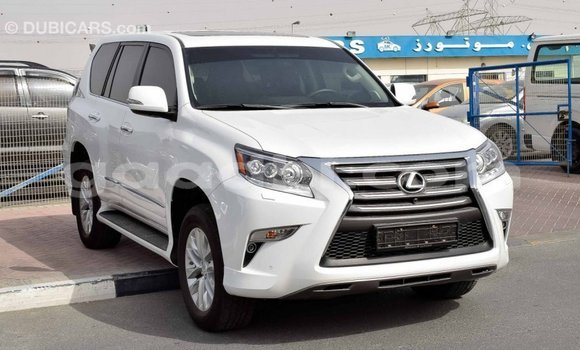 Imported Lexus GX White Makiinaa iti Import - Dubai keessatti Somalia keessatti Imported Lexus GX White Makiinaa iti Import - Dubai keessatti Somalia keessatti
