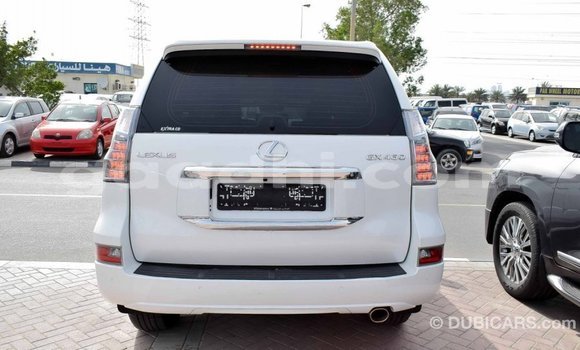 Imported Lexus GX White Makiinaa iti Import - Dubai keessatti Somalia keessatti Imported Lexus GX White Makiinaa iti Import - Dubai keessatti Somalia keessatti