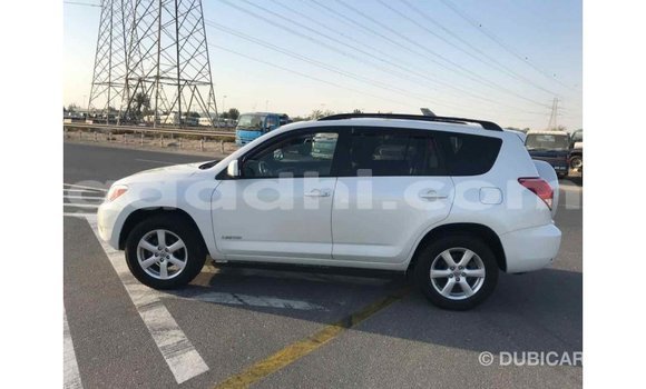 Buy Import Toyota HiAce White Truck in Import - Dubai in Somalia Buy Import Toyota HiAce White Truck in Import - Dubai in Somalia