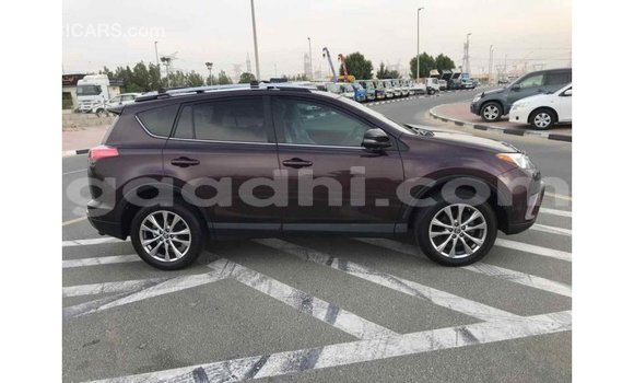 Buy Import Toyota HiAce Other Truck in Import - Dubai in Somalia Buy Import Toyota HiAce Other Truck in Import - Dubai in Somalia