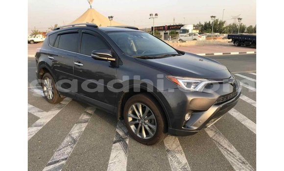 Buy Import Toyota HiAce Black Truck in Import - Dubai in Somalia