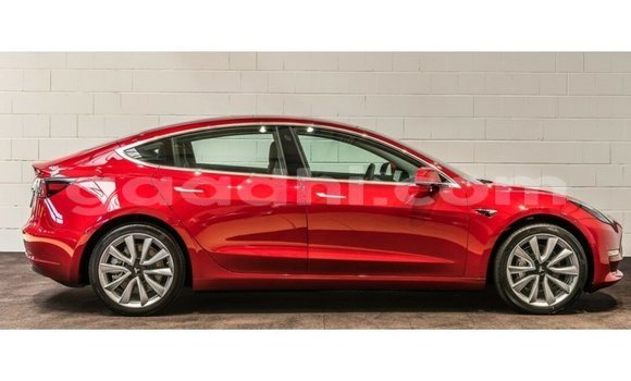اشتري Imported Tesla Model 3 أحمر سيارة في Import - Dubai في الصومال اشتري Imported Tesla Model 3 أحمر سيارة في Import - Dubai في الصومال