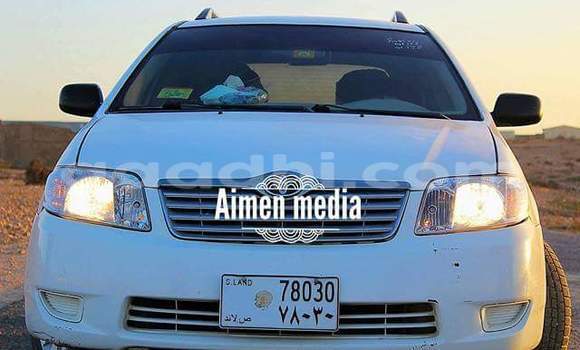 Acheter Occasion Voiture Toyota Corolla Blanc à Hargeysa, Somaliland Acheter Occasion Voiture Toyota Corolla Blanc à Hargeysa, Somaliland