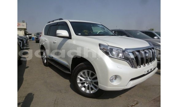 ይግዙ Imported Toyota Prado ነጭ መኪና በ Import - Dubai በ ሶማሊያ ይግዙ Imported Toyota Prado ነጭ መኪና በ Import - Dubai በ ሶማሊያ