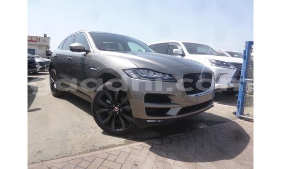 Buy Import Jaguar F-Pace Other Car in Import - Dubai in Somalia