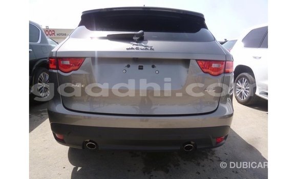 Acheter Import Voiture Jaguar F-Pace Autre à Import - Dubai, Somalie Acheter Import Voiture Jaguar F-Pace Autre à Import - Dubai, Somalie